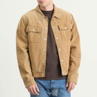 MM6 Maison Margiela Men's Cotton Coated Trucker Jacket in Sand