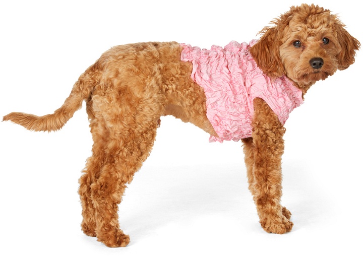 Photo: Gauntlett Cheng SSENSE Exclusive Pink Elastic Sweater