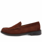 Vinnys Men's VINNY's Yardee Moccasin Loafer in Brown Suede