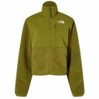 The North Face Women's Ripstop Denali Fleece Jacket in Forest Olive