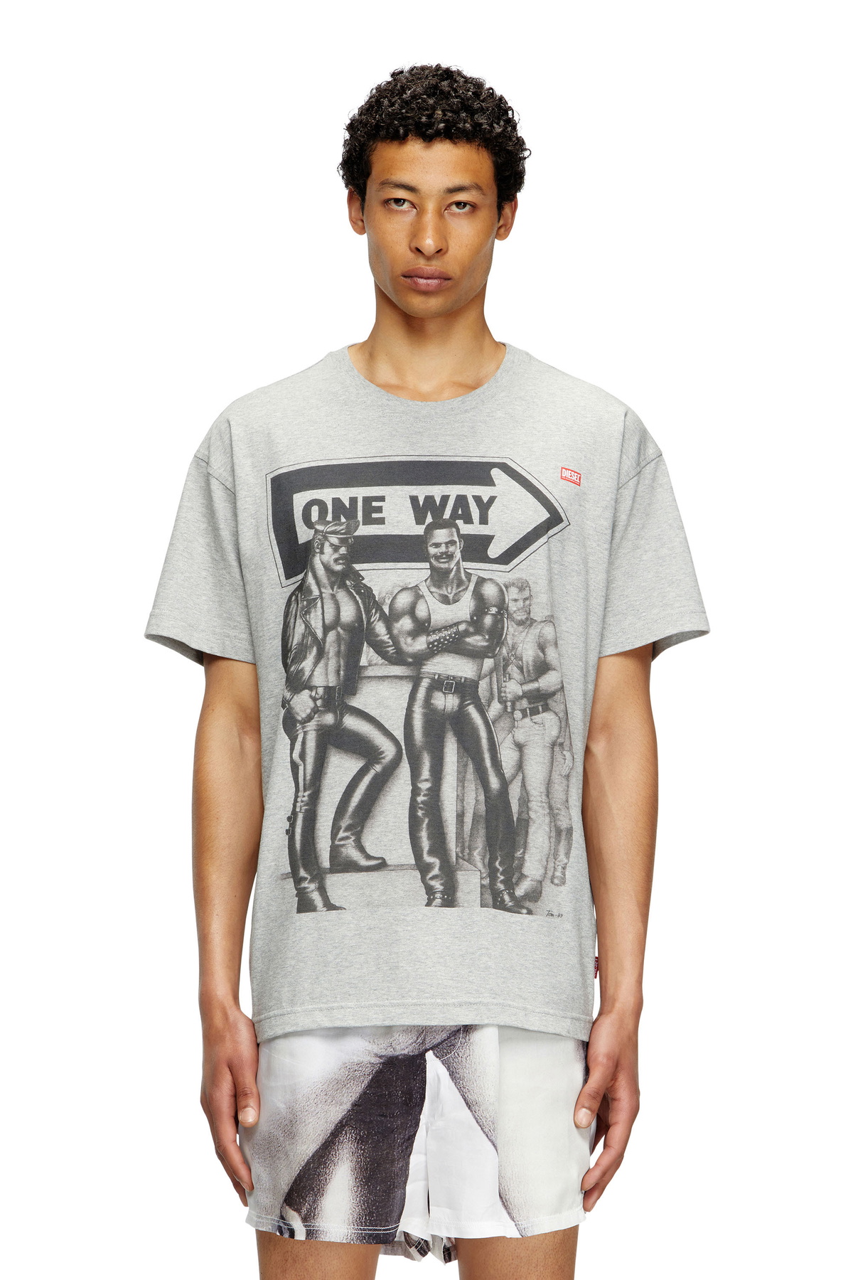 Diesel T-shirt with graphic print - T-Shirts - Unisex - Grey