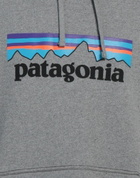 Patagonia Mens Sweatshirt Light in Grey