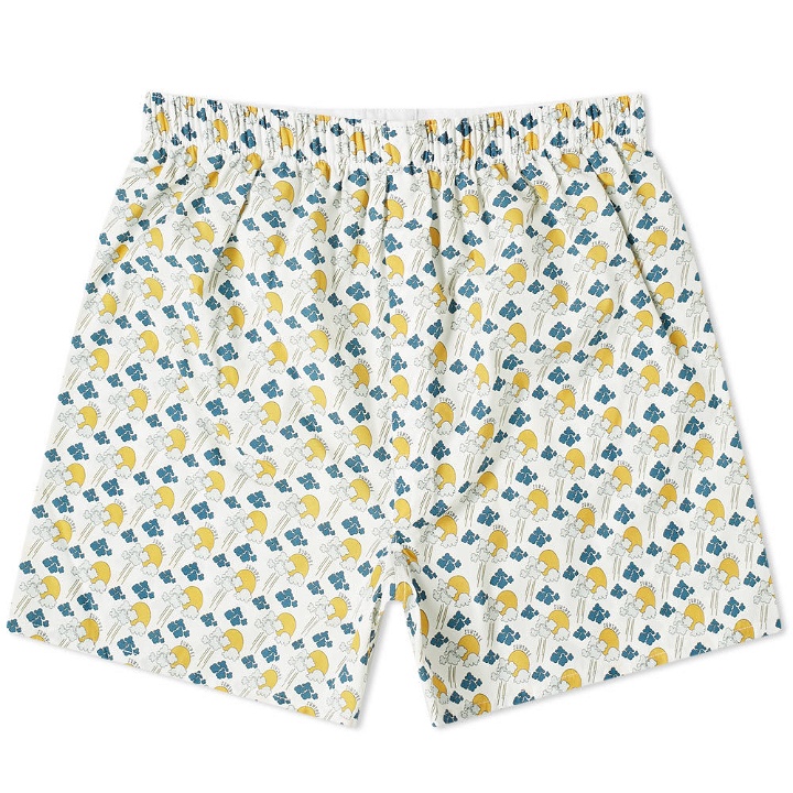 Photo: Sunspel Sun and Clouds Boxer Short