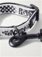 iggy - Webbing Collar and Leash Set