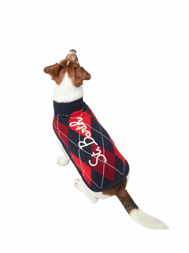 Photo: MC2 Saint Barth Dog Sweater With Argyle Print