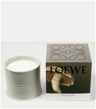 Loewe Home Scents Mushroom Large scented candle