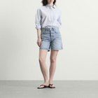 Anine Bing Women's Delaney Shorts in Arbor Blue