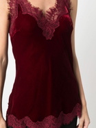 GOLDHAWK - Velvet Top