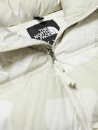 The North Face - XX KAWS Retro 1996 Nuptse Quilted Shell Down Jacket - Gray