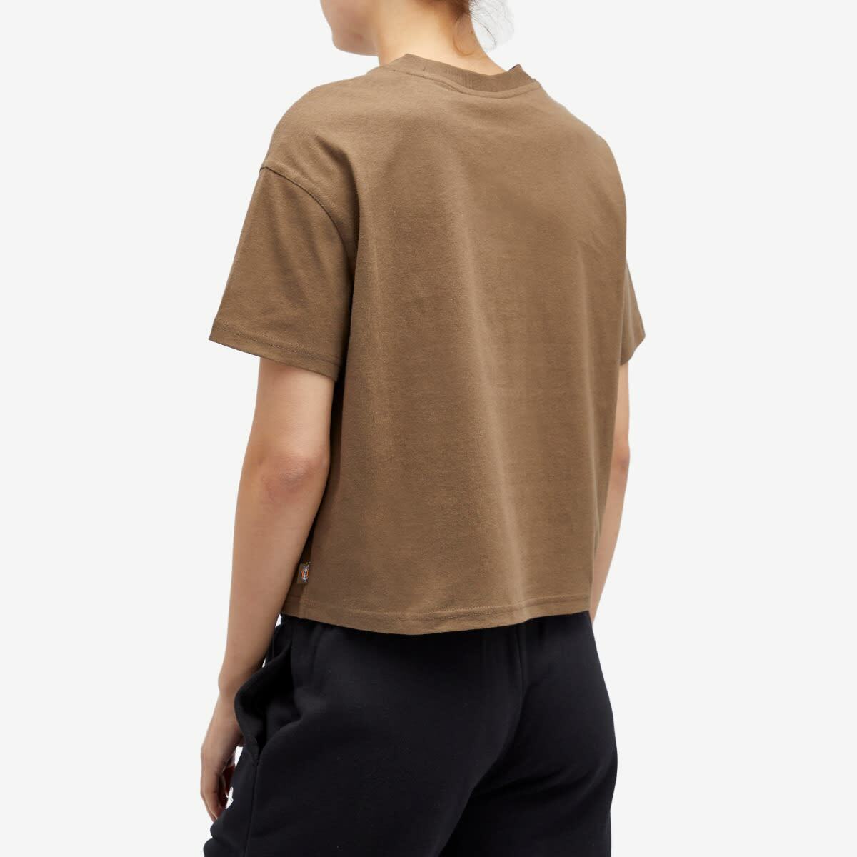 Dickies Women's Oakport Boxy T-Shirt in Mushroom
