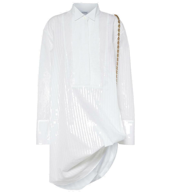 Photo: Loewe Chain striped cotton poplin shirt dress