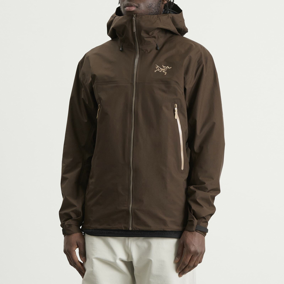 Arc'teryx Men's Arcteryx Beta SL Gore-Tex Jacket in Carob/Canvas