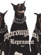 REPRESENT Thoroughbred T-shirt