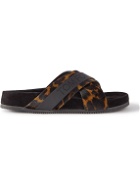 TOM FORD - Wicklow Leopard-Print Calf Hair and Leather Slides - Brown