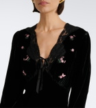 Rixo Carolina lace-trimmed velvet minidress