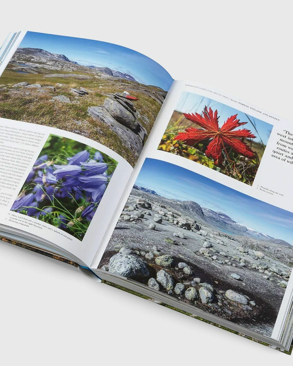 Gestalten "Wanderlust Europe: The Great European Hike" By Alex Roddie Multi Travel