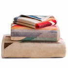 Pendleton Three Piece Towel Set in Wyeth Trail 