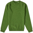 Albam Men's Boiled Wool Crew Neck Knit in Green
