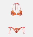 Dolce&Gabbana Majolica bikini
