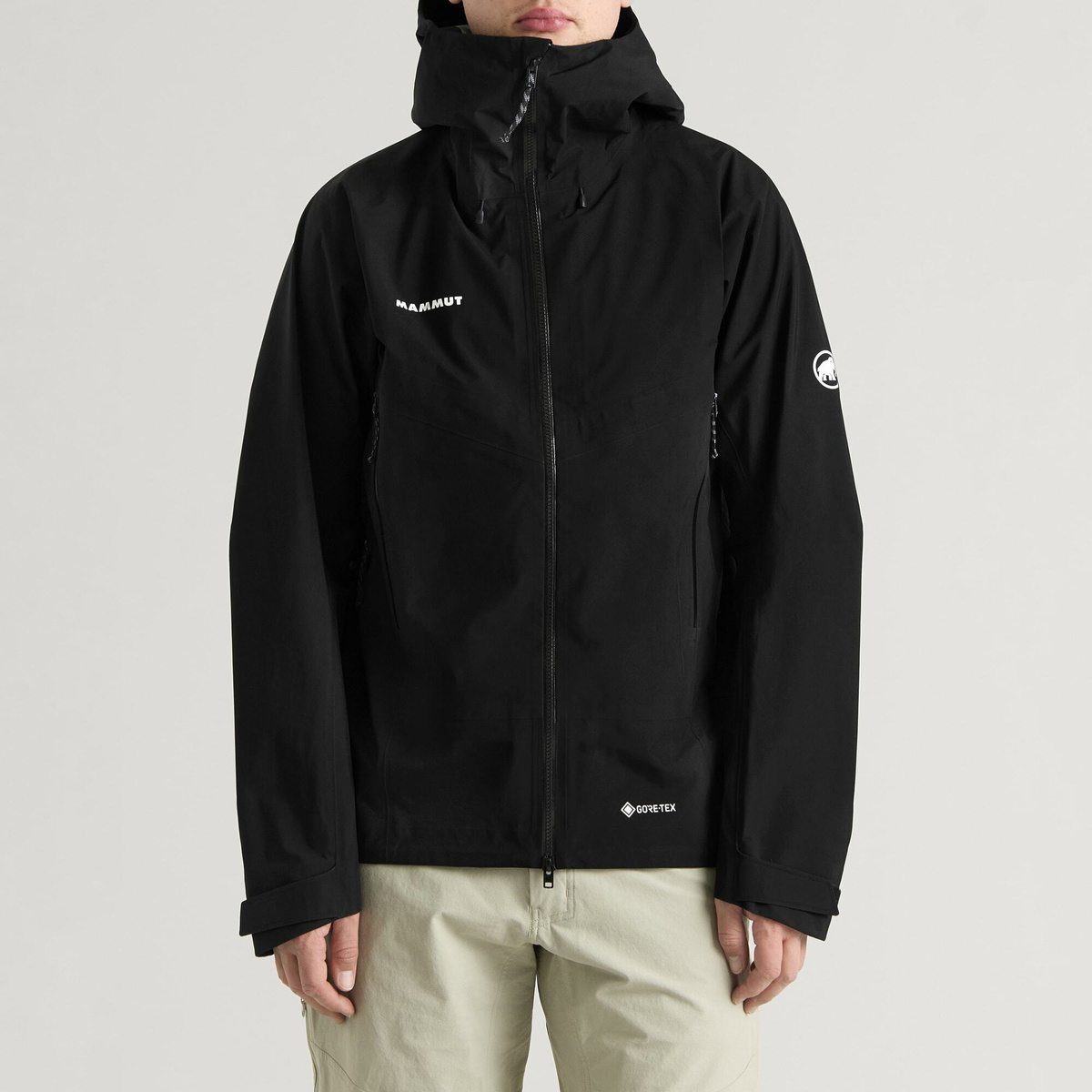 Mammut Men's Crater IV Gore-Tex Jacket in Black