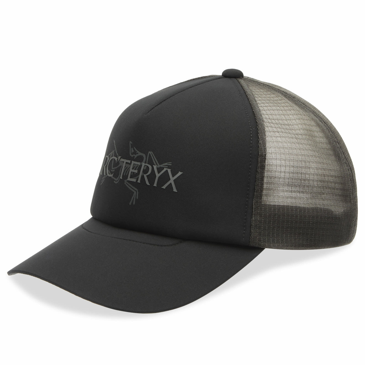 Arc'teryx Men's Bird Head Toque Beanie in Habitat/Atmos Arc'teryx