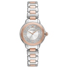 Armani Quartz Silver Dial Ladies Watch AR11643