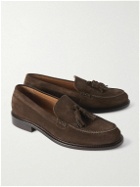 Mr P. - Scott Suede Penny Loafers - Brown