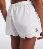 SIR Klara emboirdered cotton shorts