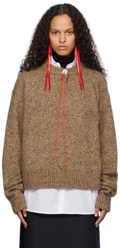 Photo: AO Yes Brown One Button Sweater