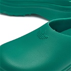 Adidas Women's ADIFOM STAN MULE W Sneakers in Collegiate Green/Collegiate Green/Preloved Green