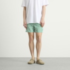 Calvin Klein Men's Medium Drawstring Swim Shorts in Penny Stripe/Mardi Gras Green
