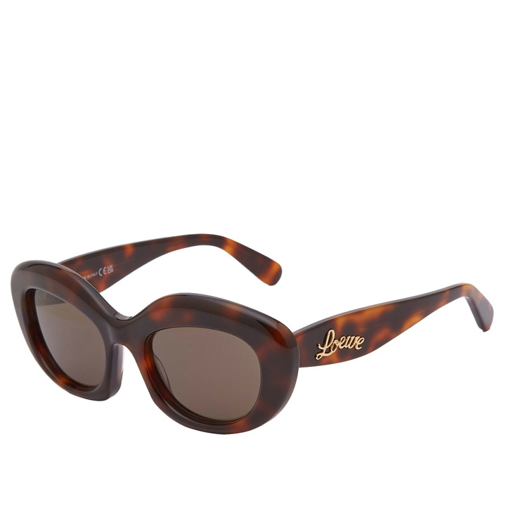 Photo: Loewe Eyewear Women's Curvy Cat Eye Sunglasses in Havana 