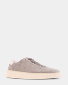 Steve Madden Gregorio Sneakers in Grey