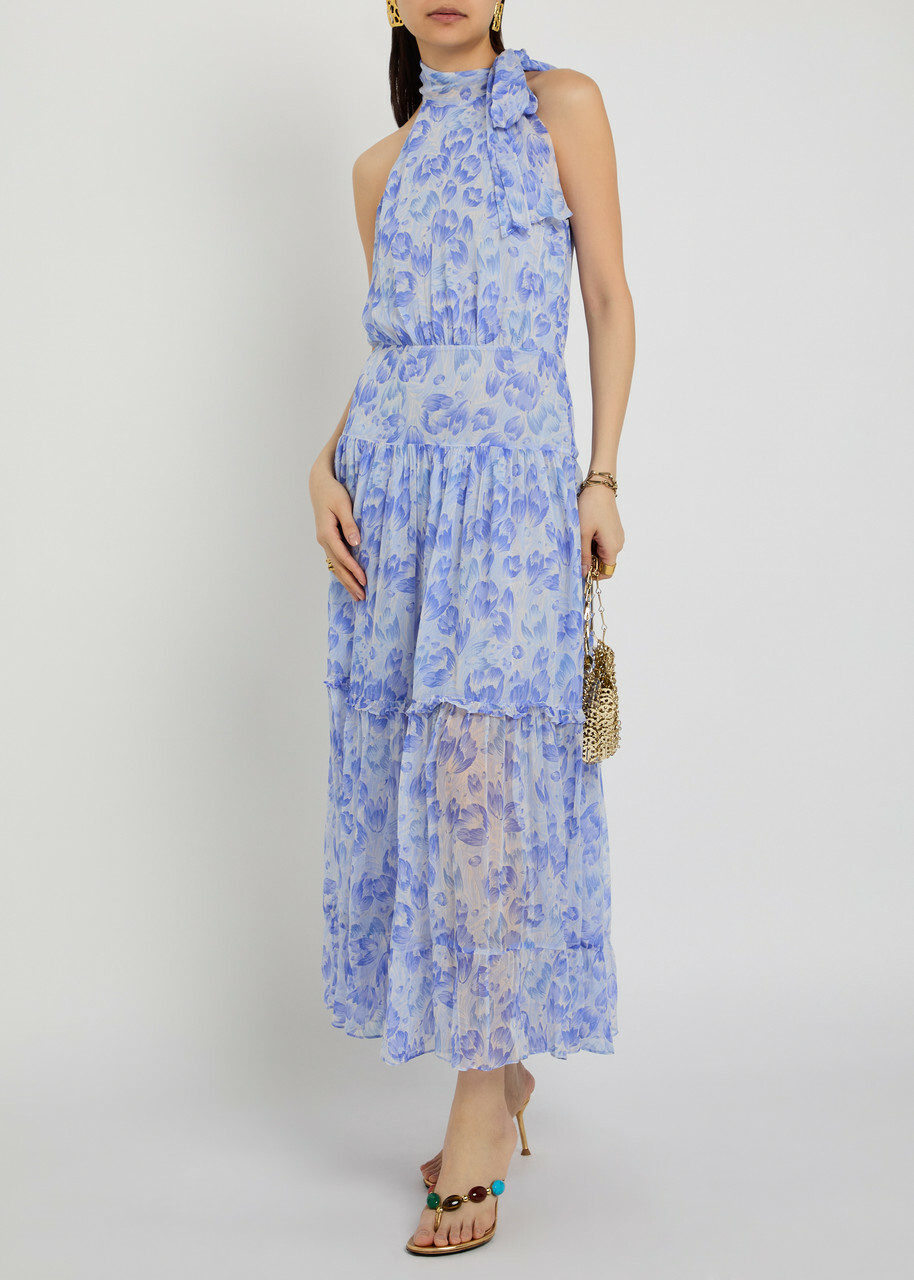 Rixo Abi Floral-print Chiffon Maxi Dress Light Blue
