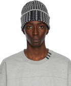 adidas x IVY PARK Grey Patterned Beanie