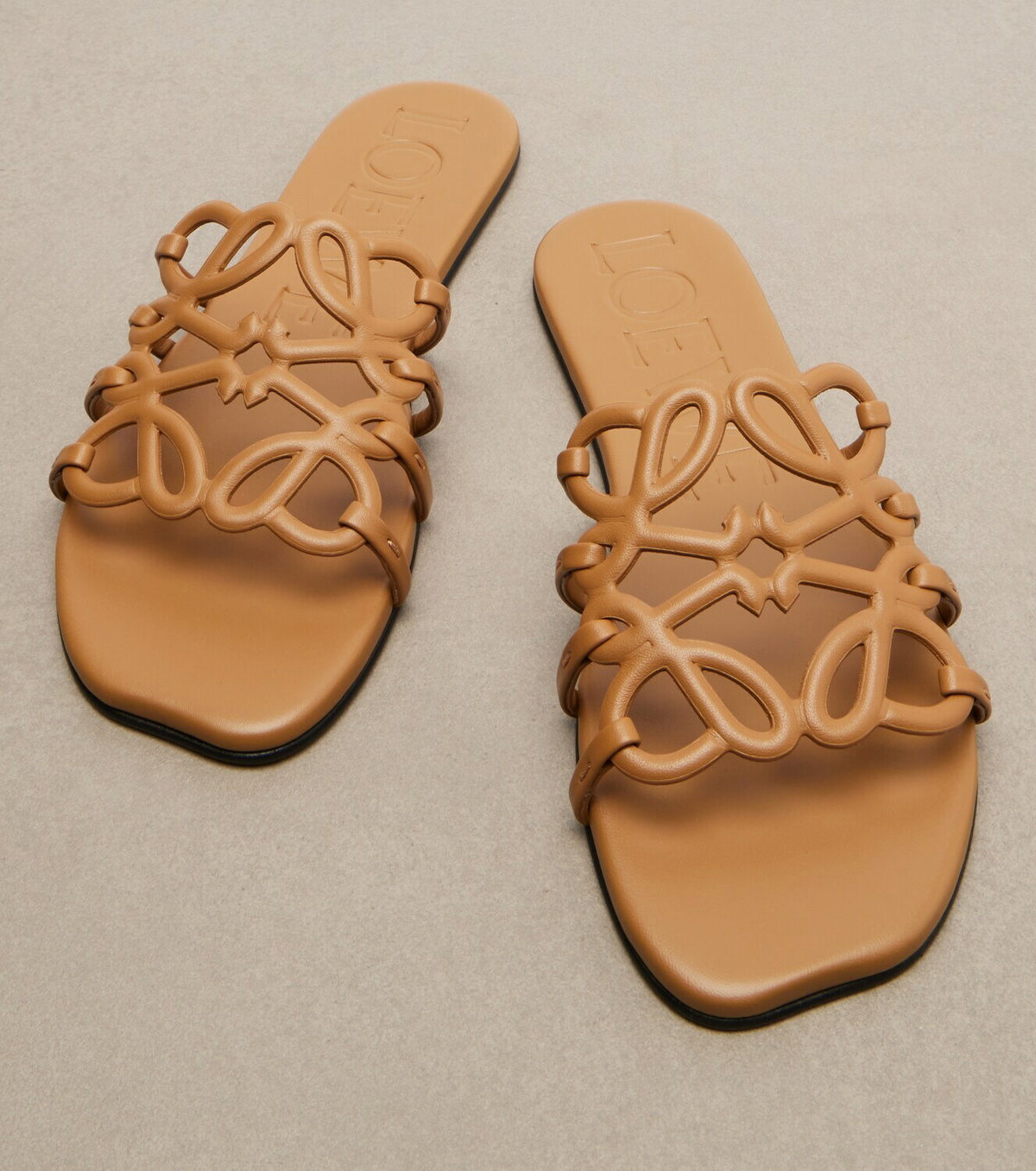 Loewe Paula's Ibiza Petal Anagram leather slides