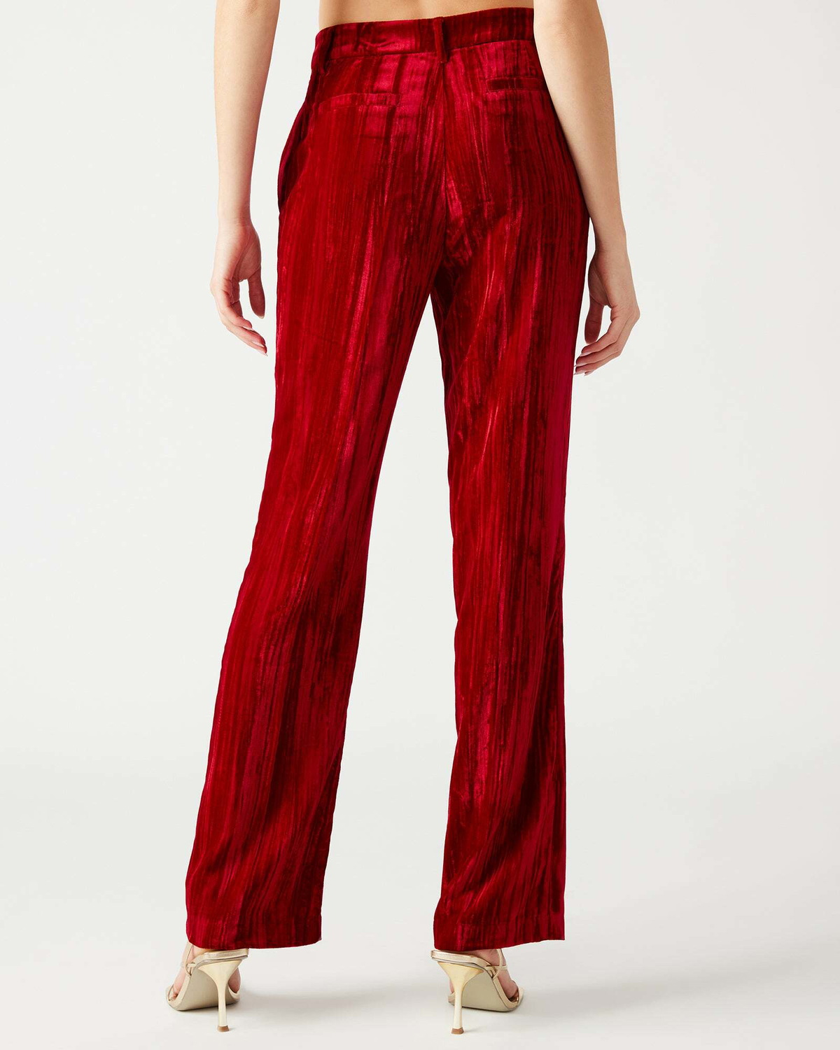 Steve Madden Mercer Crushed Velvet Pants in Red
