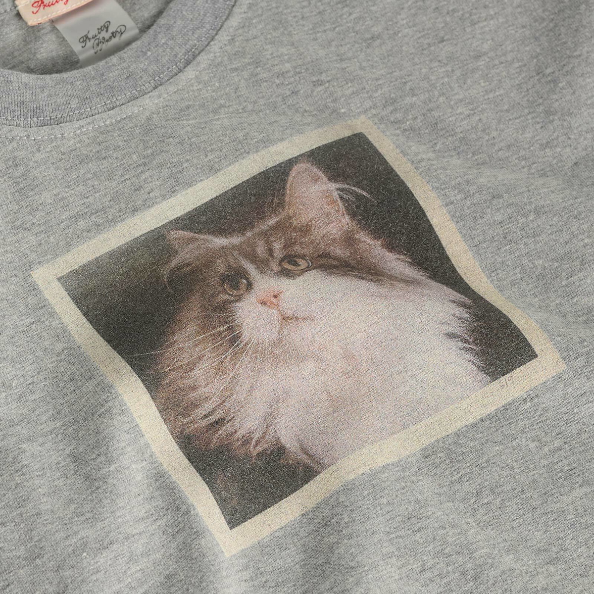 Fruity Booty Women's Cat T-Shirt in Grey