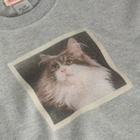 Fruity Booty Women's Cat T-Shirt in Grey