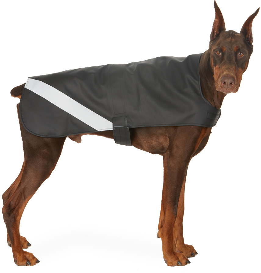 Stutterheim SSENSE Exclusive Black Lightweight Dog Raincoat Stutterheim
