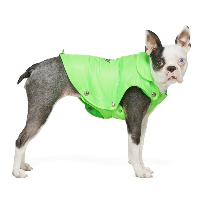 Photo: MISBHV Green Puffer Dog Jacket