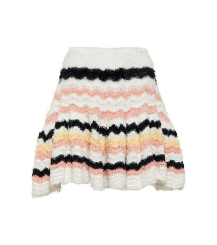 Photo: Susan Fang Striped flared knit skirt