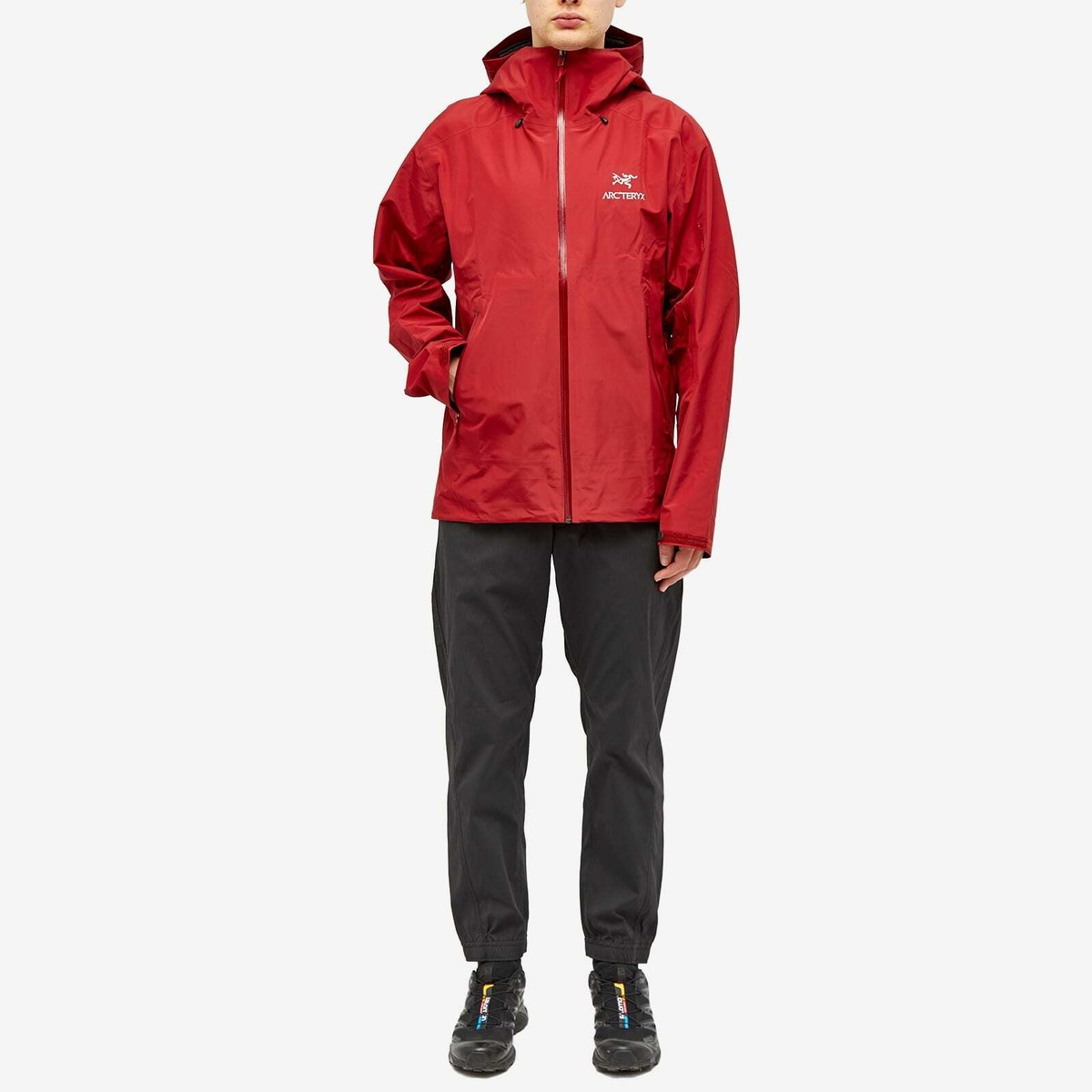 Arc'teryx Men's Beta LT Jacket in Bordeaux