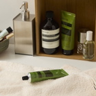 Aesop Party in the Greenhouse Hand & Body Trio 