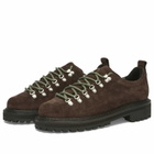 Bass Weejuns Men's Hiker Low Boot in Chocolate Suede