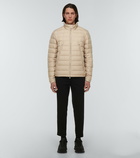 Moncler - Alfit quilted down jacket