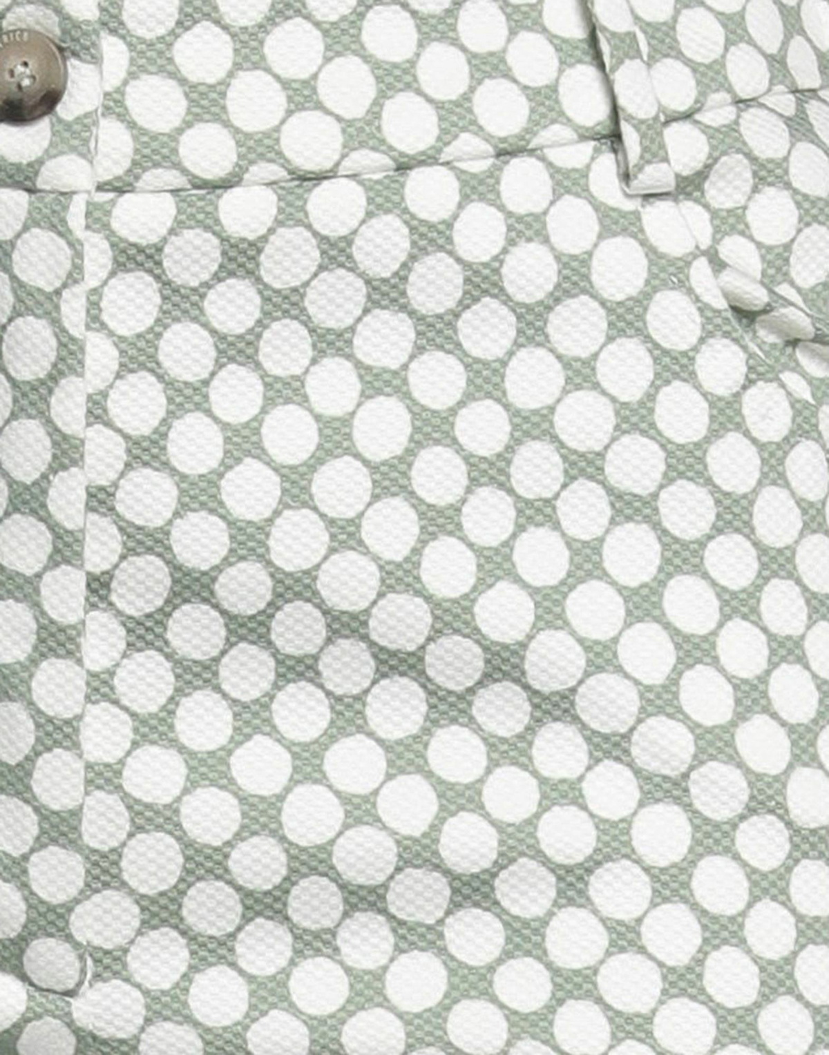 Peserico Womens Pants in Sage green
