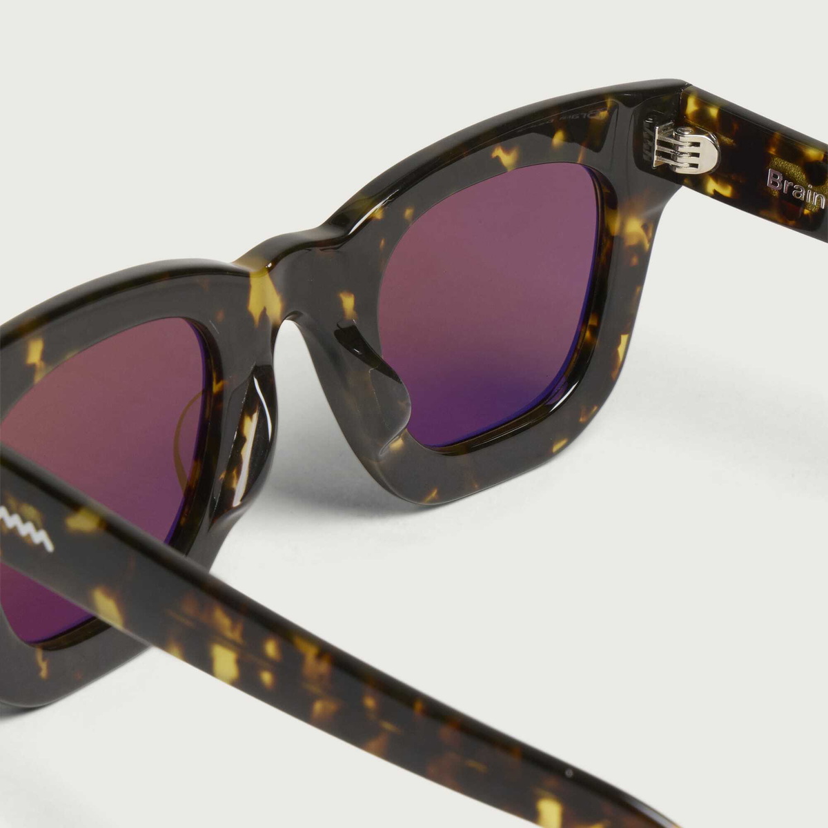 AKILA x Brain Dead Elia Sunglasses in Tortoise/Brown
