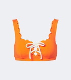 Marysia Palm Springs scalloped bikini top