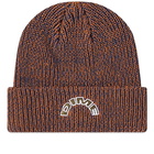 Dime Men's Arch Beanie in Sepia